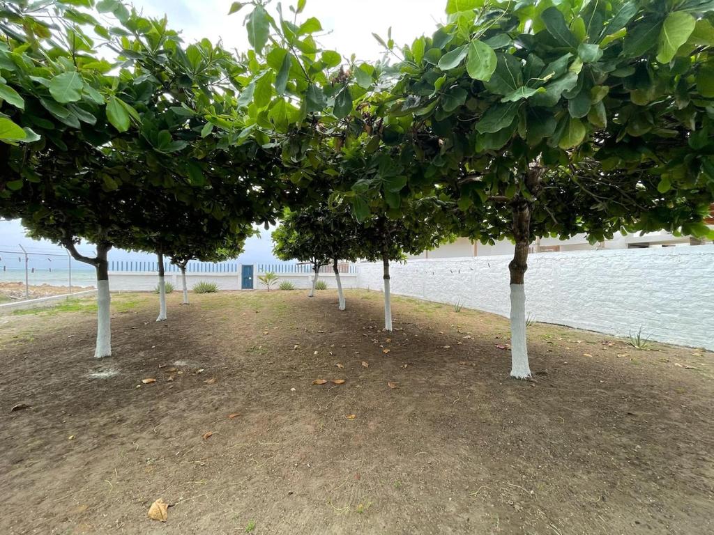 Villa Solara - A Beachfront Residence - 5