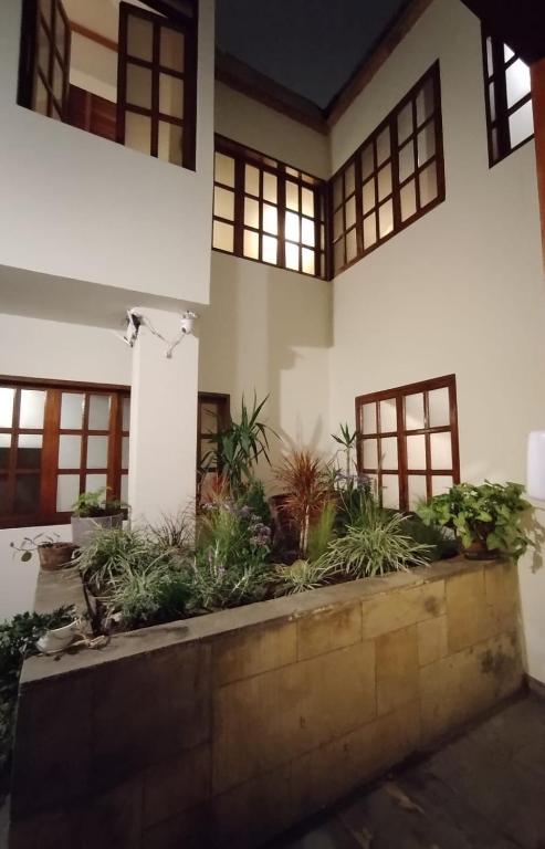 Suite C-1 Wifi 1000 Mbps, recojo gratis aeropuerto - 3