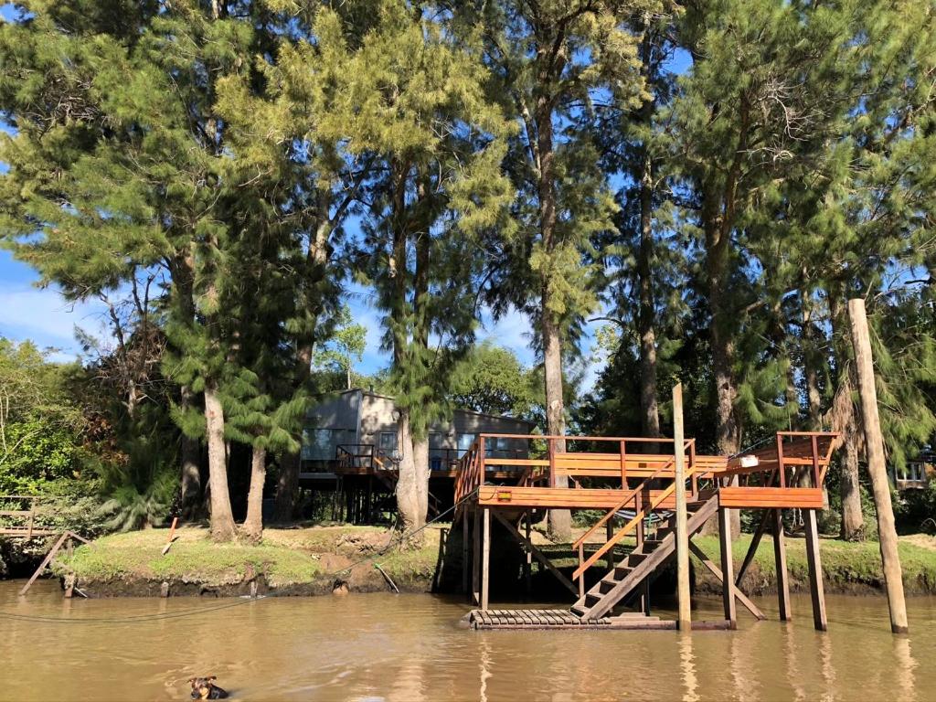 Isla Tortuga Delta - 3