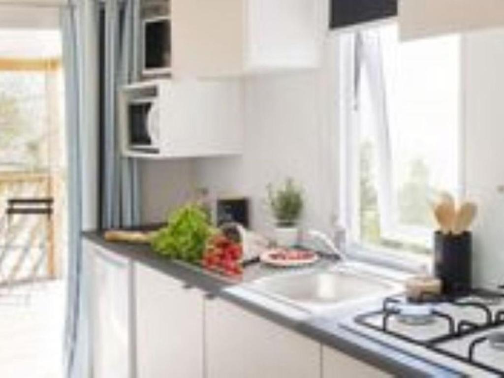 Mobil-home avec Terrasse à Roquebrune-sur-Argens - API-1-52-984 - 2