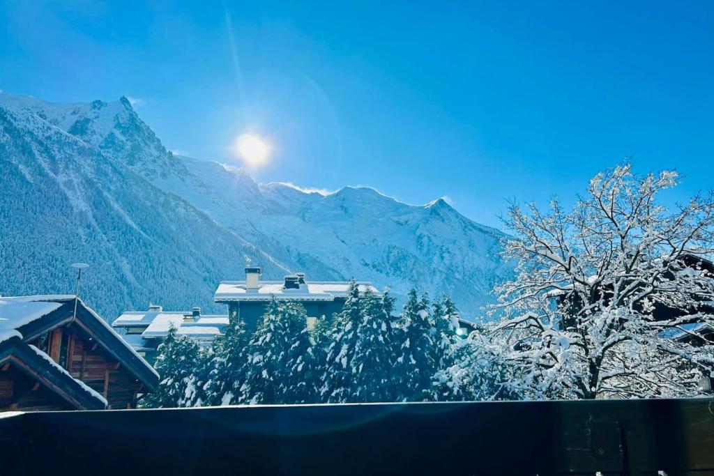 Bright apartment with views of Mont Blanc - 3