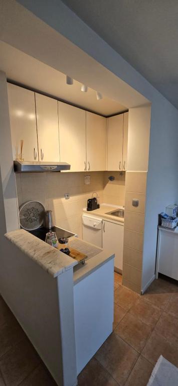 Little Sea Stars, Tivat - 2