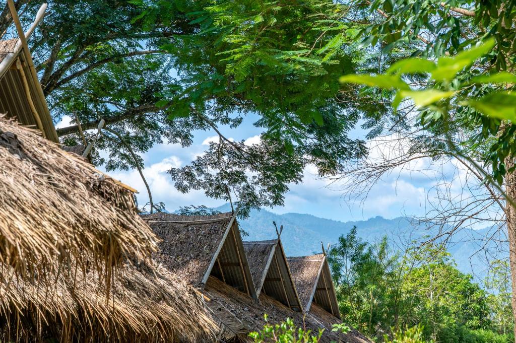 Surrounding environment