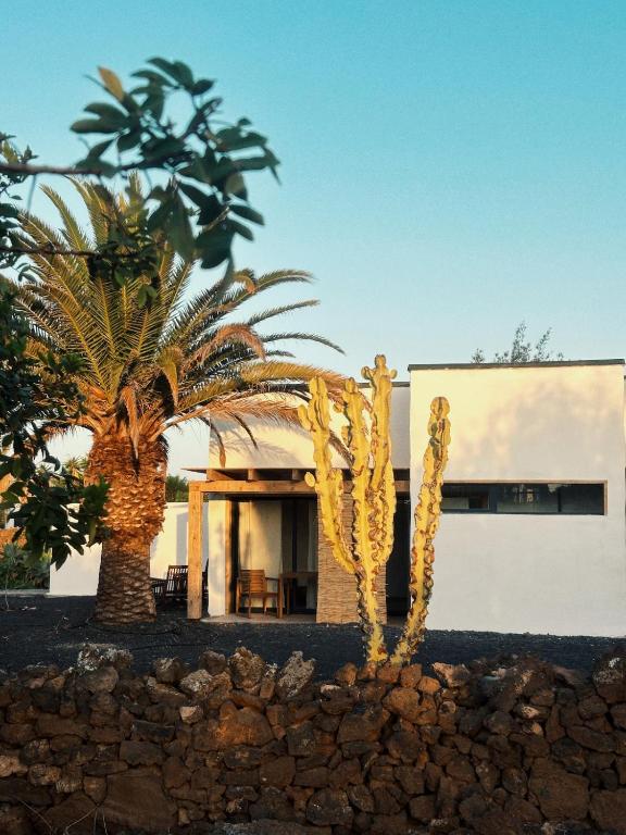 Asulito 400 m2 house with pool - 2