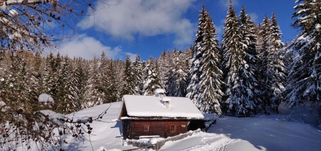 Reh's Wiesen Hütte - 2