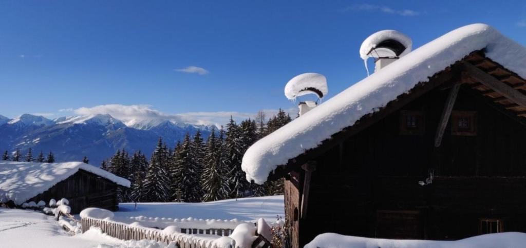 Reh's Wiesen Hütte - 3
