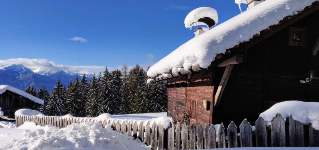 Reh's Wiesen Hütte - 4