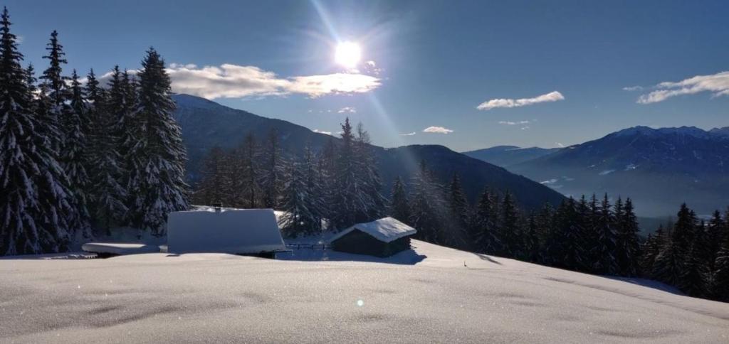 Reh's Wiesen Hütte - 5