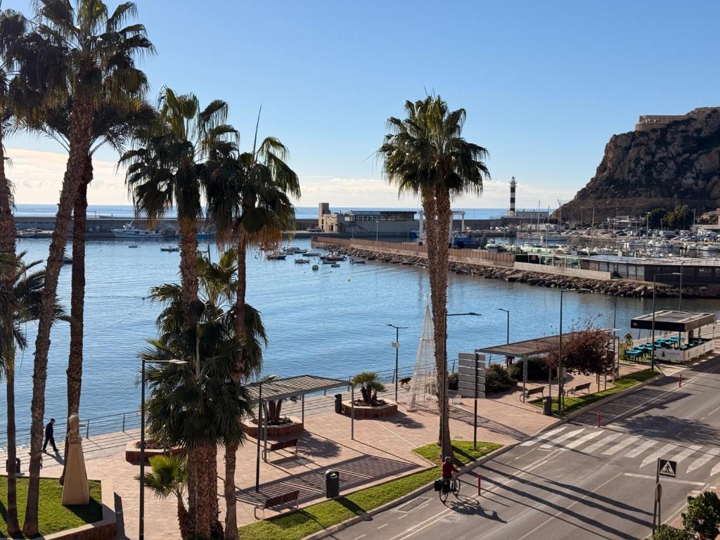Terraza Las Delicias con parking - By Aloha Palma - 5