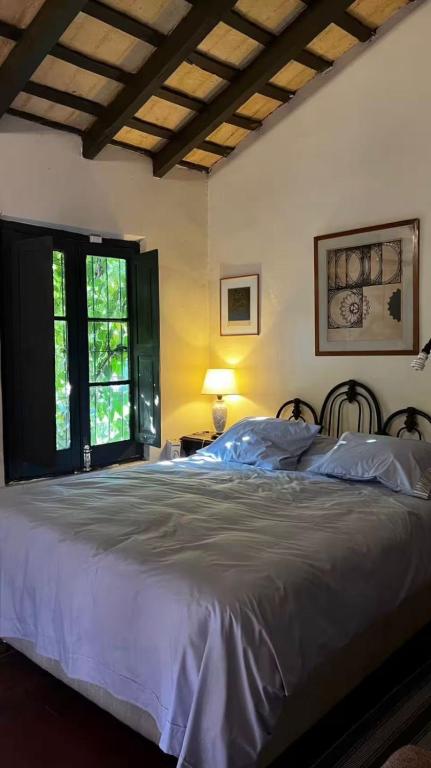 Habitación para 4 en el centro de Asunción con piscina e inmenso jardín - 3