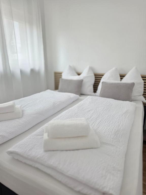 Zentrale Wohnung, nähe Innenstadt - 1