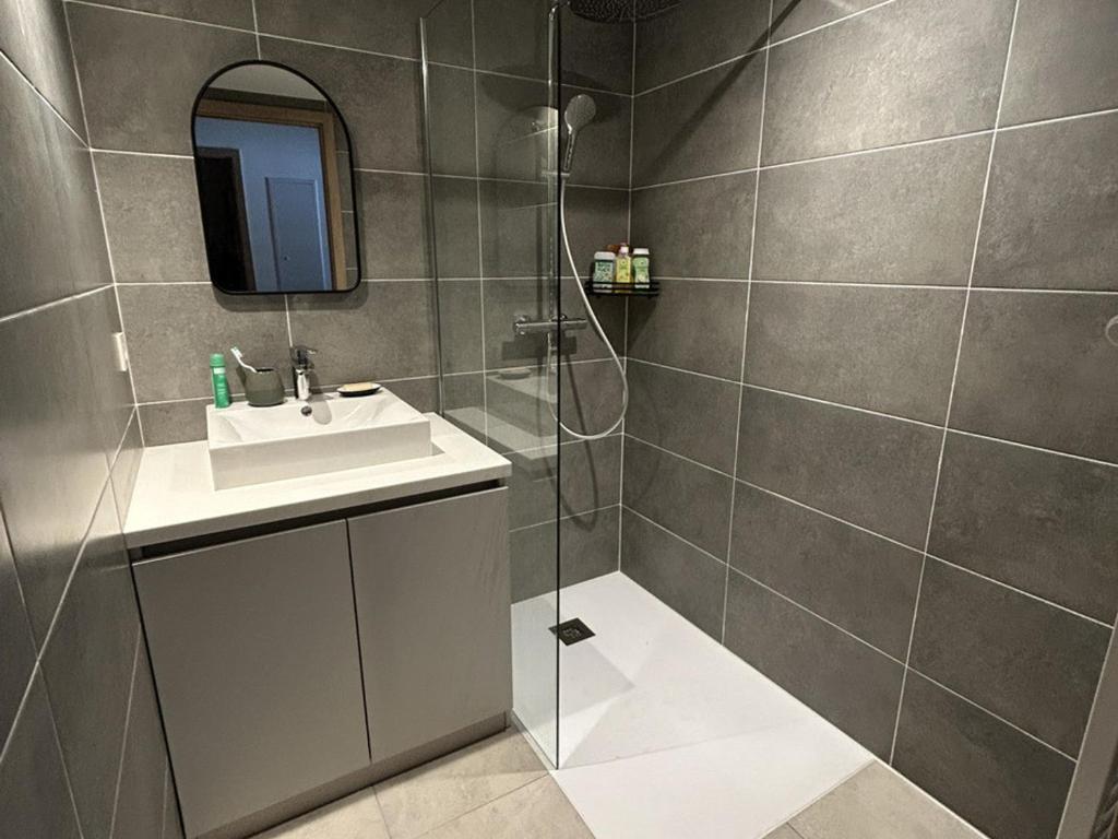 Appartement de standing 2 chambres, Wi-Fi, animaux admis, parking - FR-1-836-56 - 4