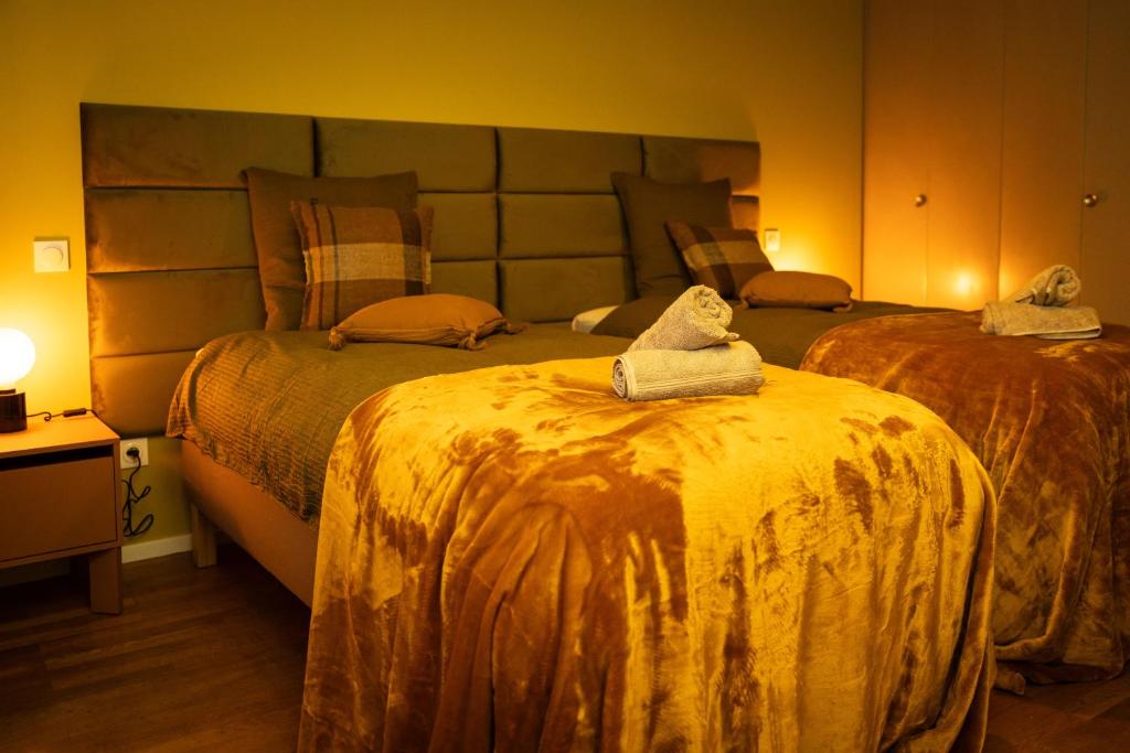 Private "L'Or Tensia" Apartment in Center with Terrace and Free Parking - 2