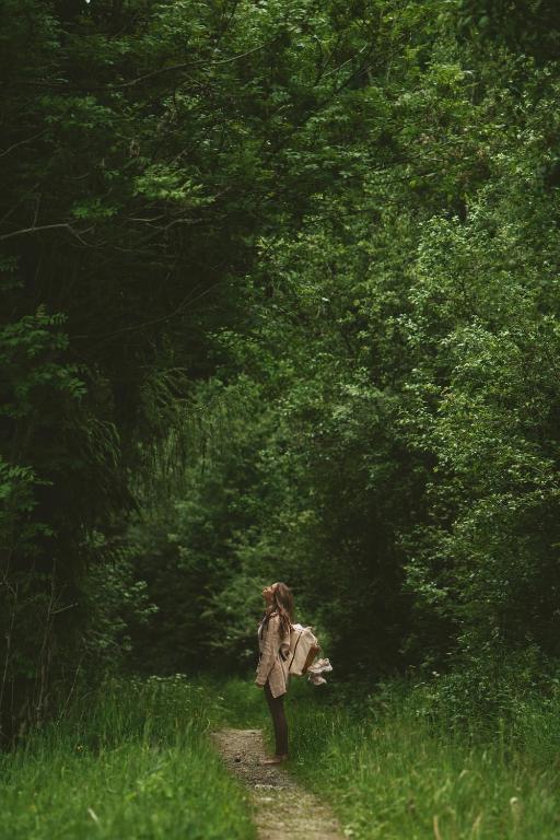 Collis Hill Chalets & Hotel - 4