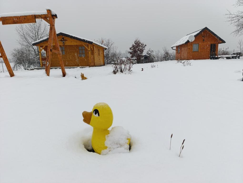 Vikendica Ajlin - 5