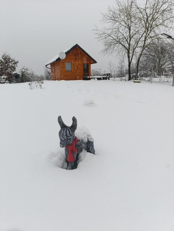 Vikendica Ajlin - 2