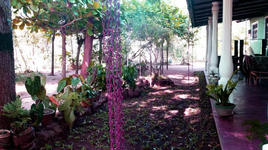 Nethmi Homestay photo