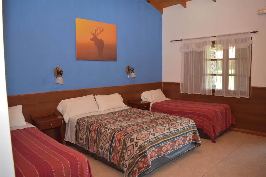 Hotel A Puro Campo - 5