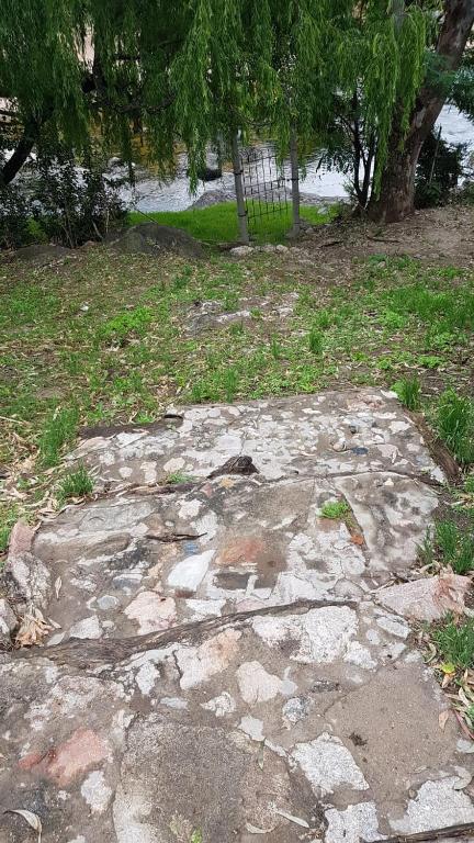 Cabañas secretos de gustos - 5