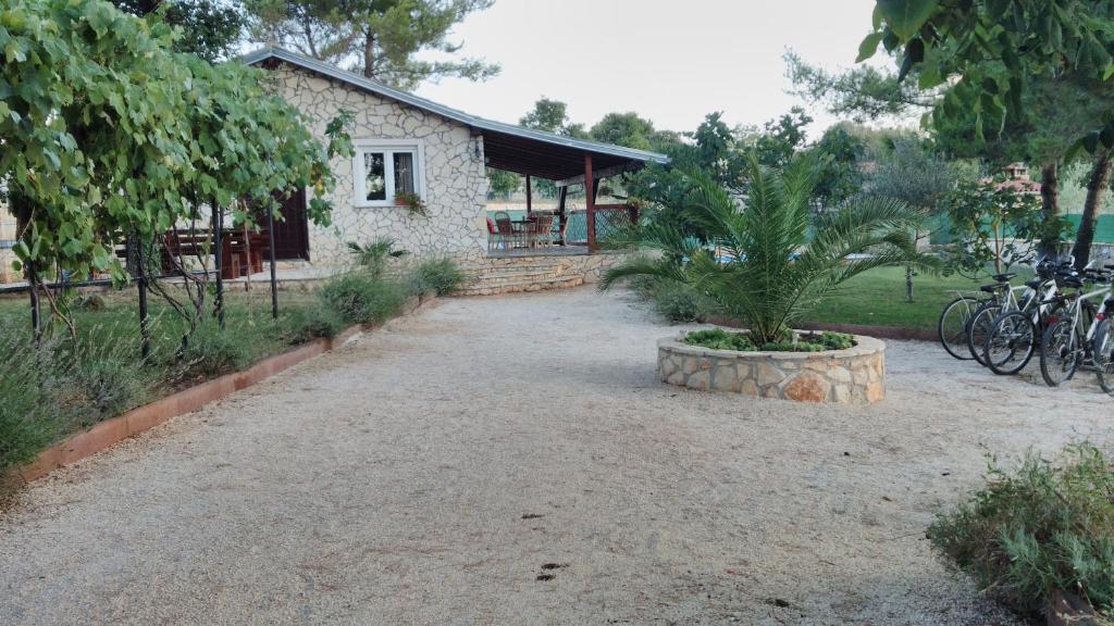 House Maslina photo