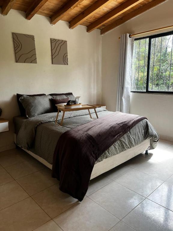 Casa Moderna en el Bosque Jacuzzi y Deck Privado - 4