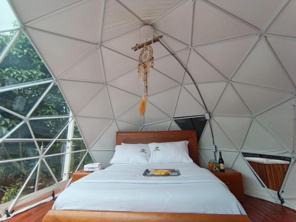 Glamping Morpho Azul Silvania Cundinamarca - 3