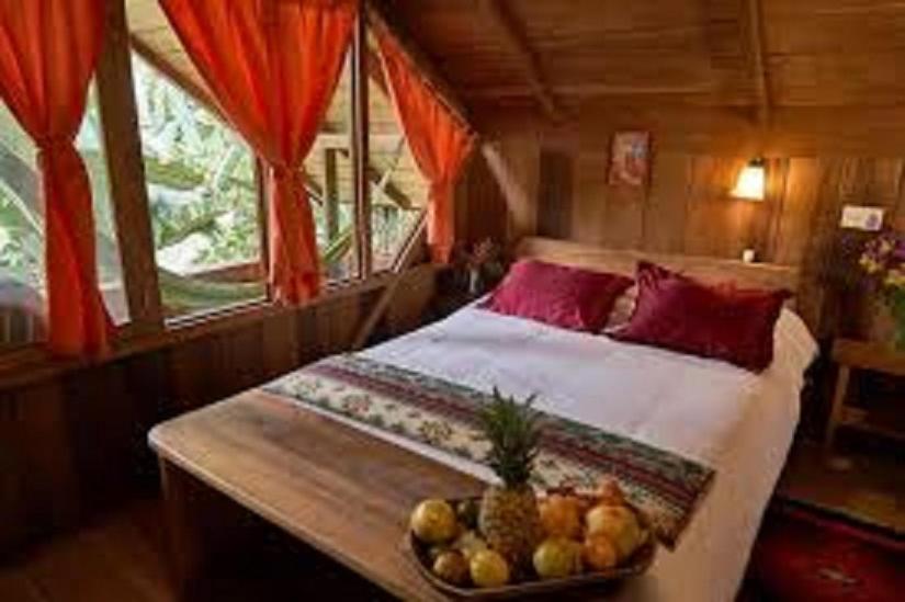 Apartamento Sol y Luna - 5