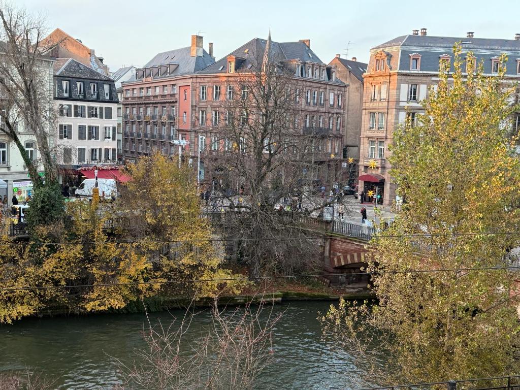 L'Ecrin de la Petite France - 5