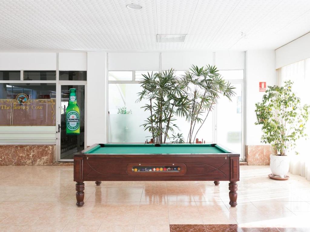 1020 wonderfull 1 bedroom sea view - 4