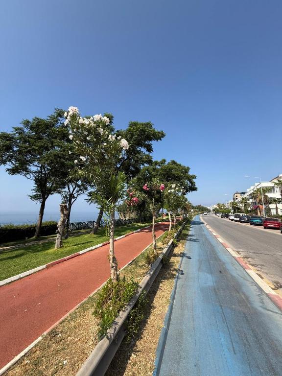 スポーツ/アクティビティ