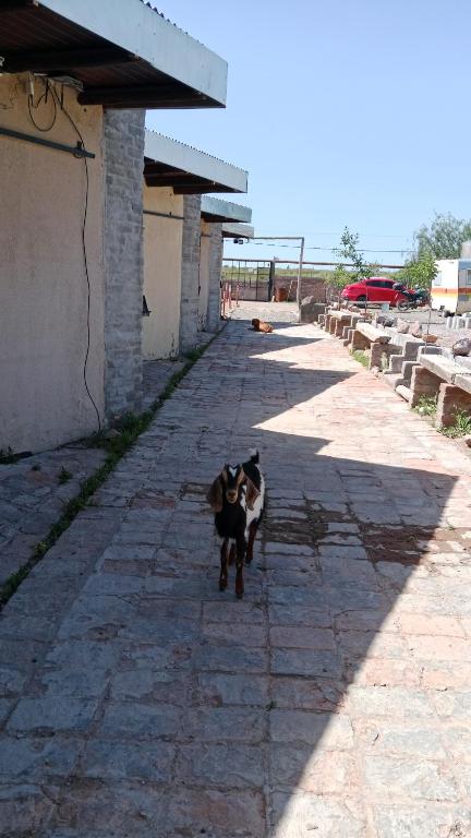 Rincón Moscatel - 2