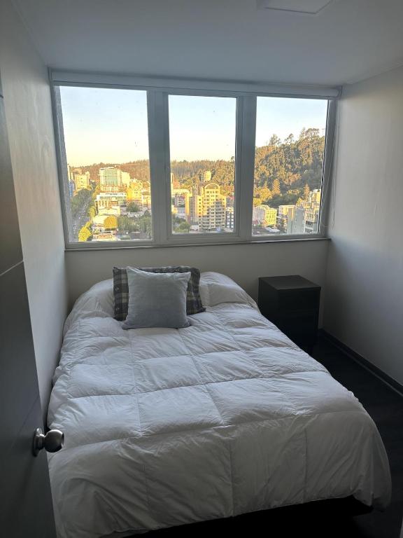 Apartment en Concepcion 2D2B and parking - 2