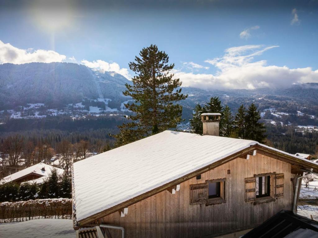 Chalet Mushy - OVO Network - 1