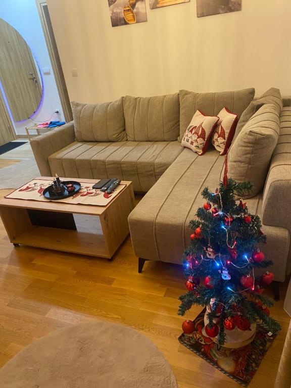 Apartman Stojadinovic - 3