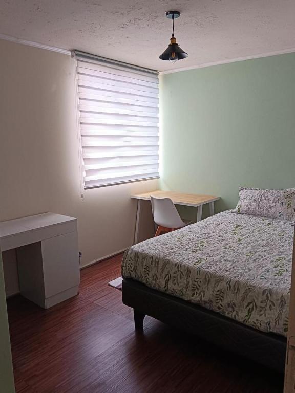 Hermoso y acogedor departamento en Viña del Mar - 4