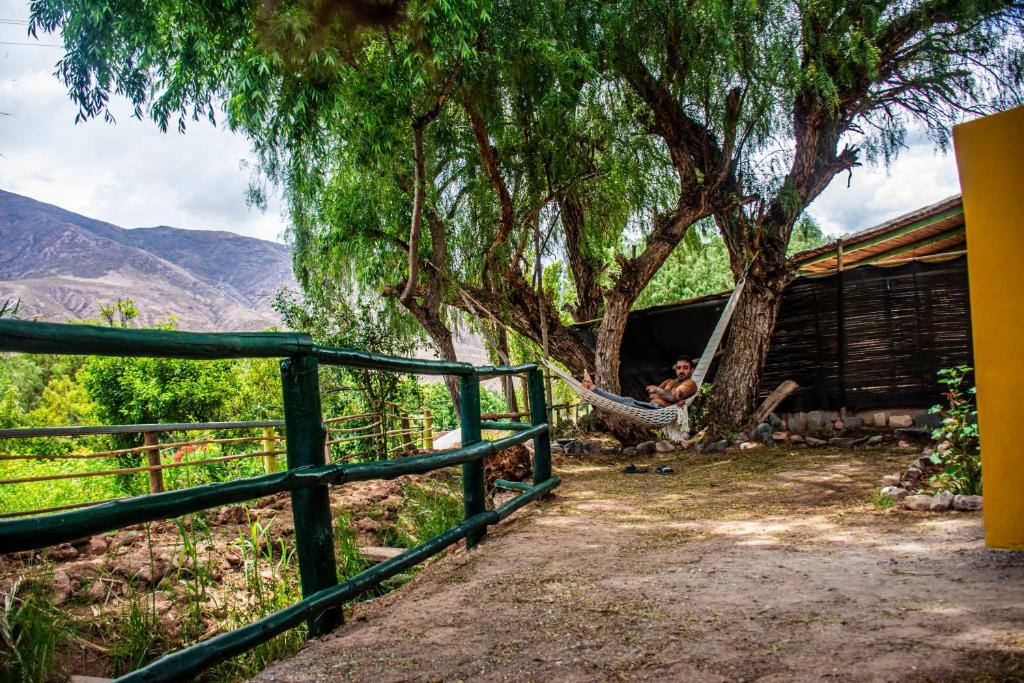 Tale Cabaña de campo - 4