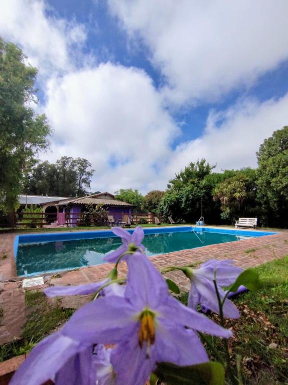 La Posada del Mar - 4