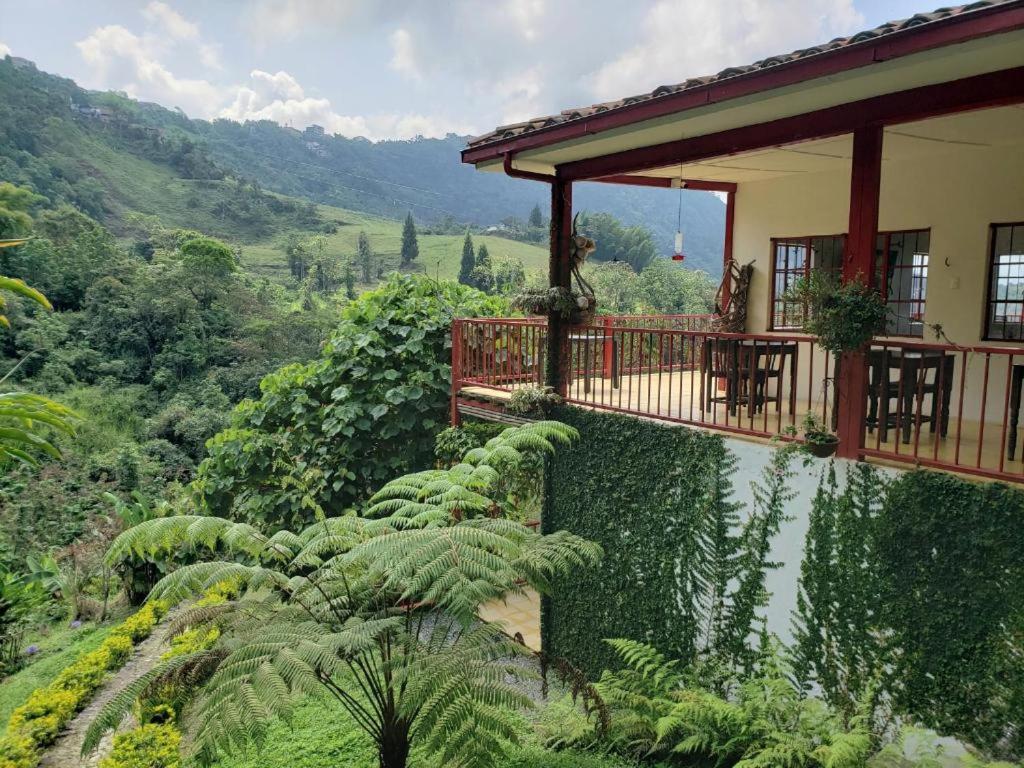 Paraíso verde - 2