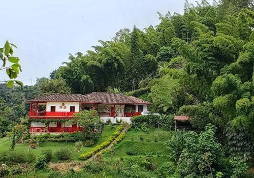 Paraíso verde - 5