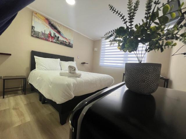 bulnes urbano suites 1 - 5