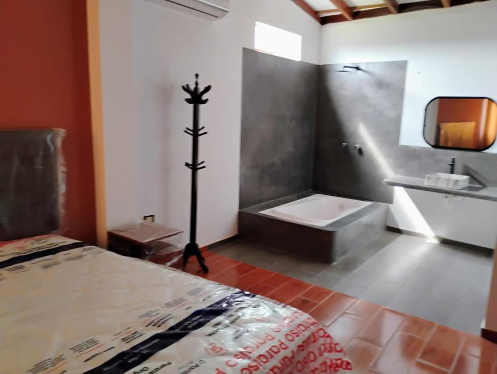 Hacienda Napoles - 2