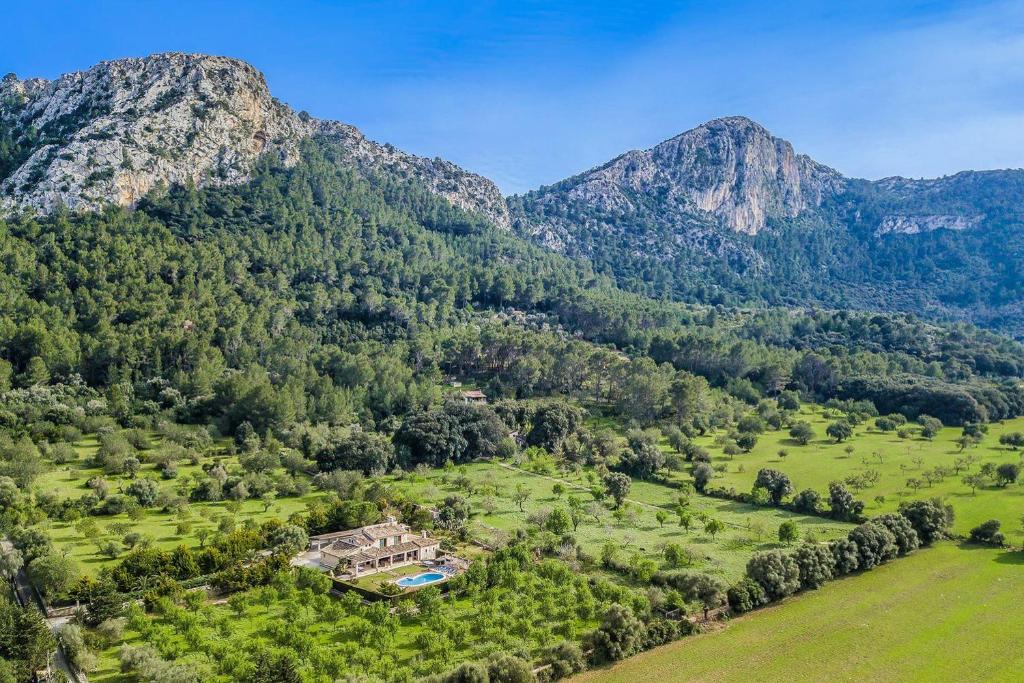 Finca Rafa - 2