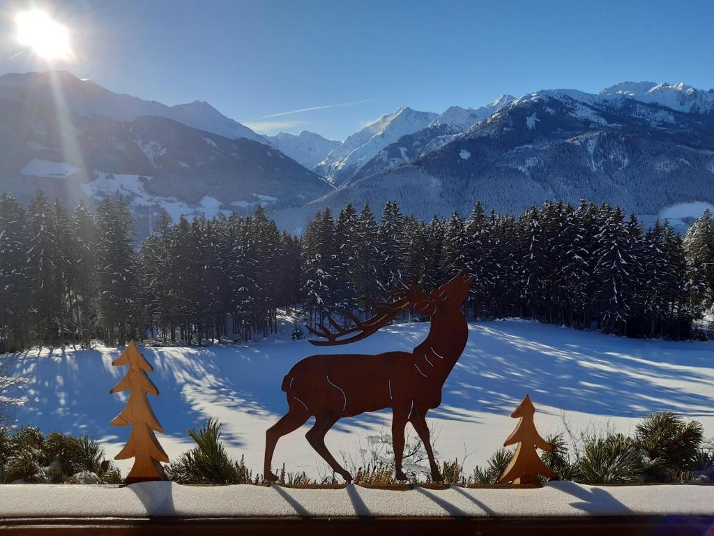 Seetalhof - 2