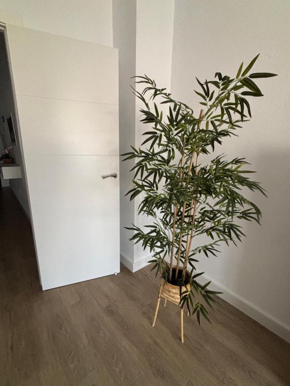 Trimar - Apartamento céntrico con garaje - 5
