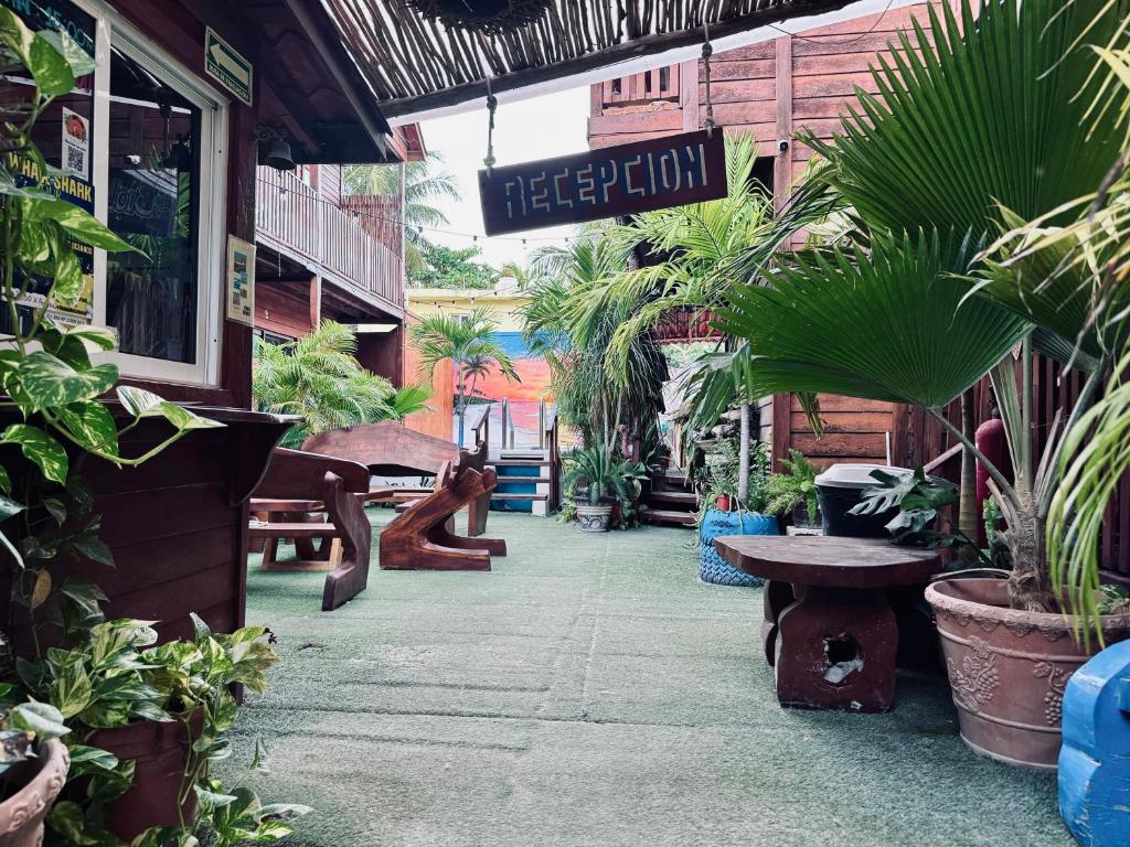 Hotelito Villas Holbox - Self Check In - 5