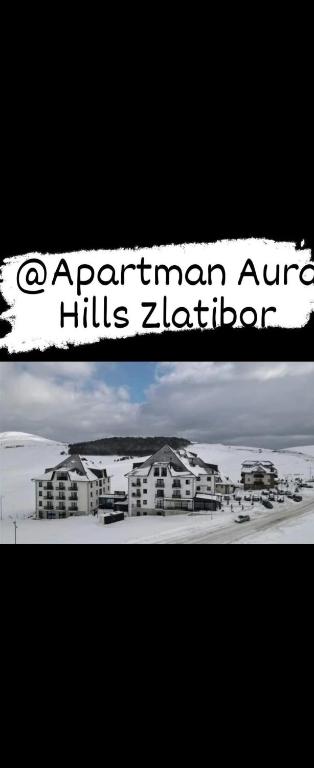 Apartman Aura Hills Zlatibor - 2