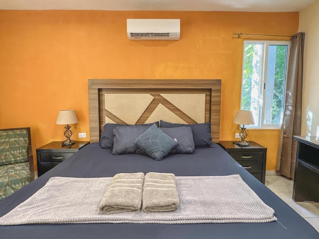 Casa Daniels Guesthouse - 5