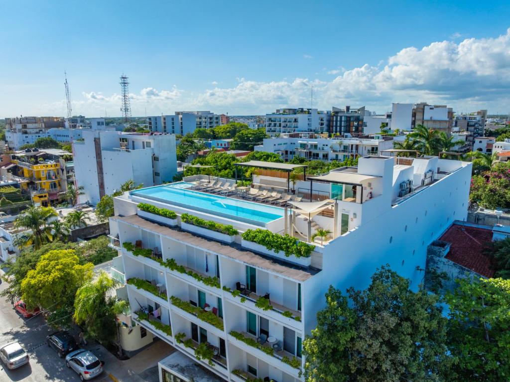 Papaya 15 Apartments - 5