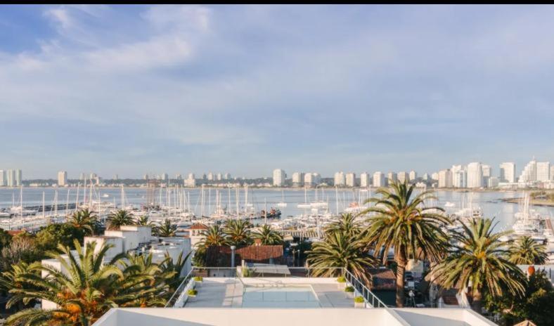 Gala Puerto - Punta del este - 1