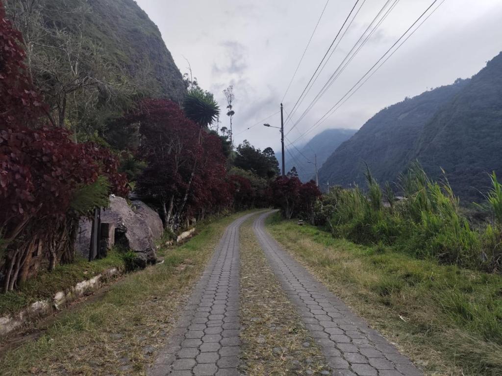 La casa del Pino - 3